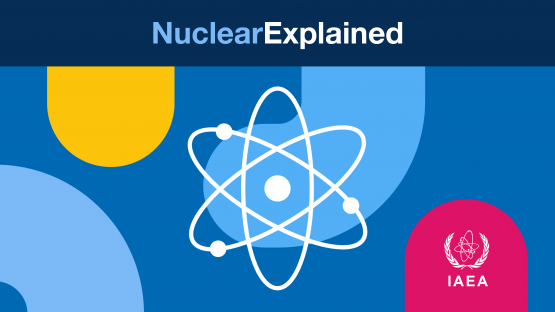 ¿Cómo garantizan las ciencias nucleares que los alimentos sean seguros para el consumo?